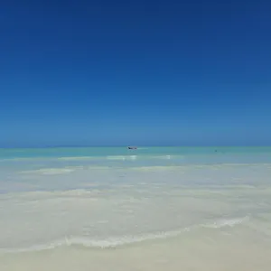 Luna Y Sol Glamping Hostal Holbox Camping